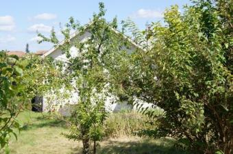 Property Main Photo