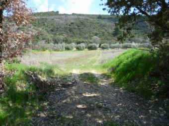 Property Main Photo