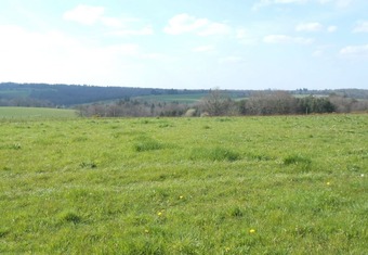 Property Main Photo