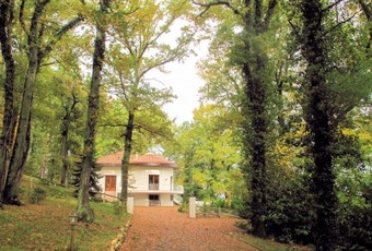 Property Main Photo