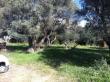 Plot, Near TOULON in Var