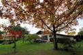3 Bed. Property, Near Aire sur L'Adour 40 in Landes