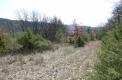 Plot, Near Quinson in Alpes-de-Haute-Provence