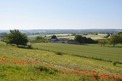 5 Bed. Bungalow, Near Aubeterre in Charente