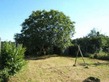 Plot, In Charroux in Vienne
