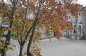 Property, Near Avignon in Vaucluse