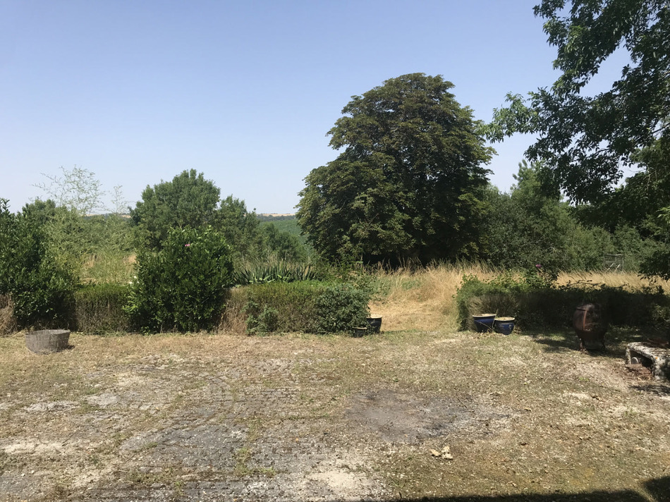 French Property for Sale Chateau (near STJEAN D'ANGELY) in Charente