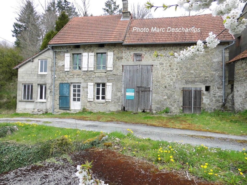 Maison à Vendre Les Ajots Saint-dizier Notaire