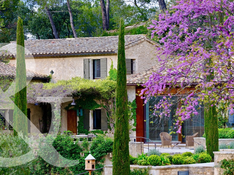 French Property for Sale House (near SaintRémydeProvence) in BouchesduRhône, Provence