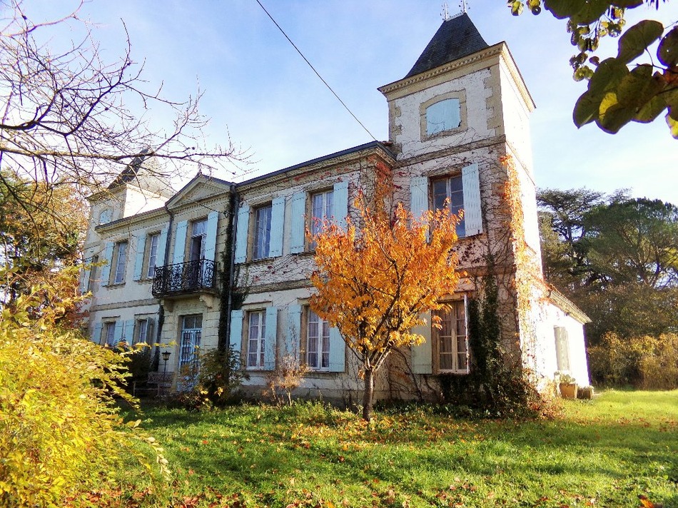 French Property for Sale Chateau (near VIC FEZENSAC) in Gers, Midi