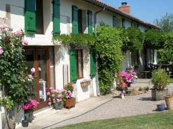 Property Main Photo