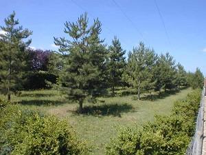 Property Main Photo