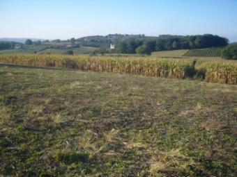Property Main Photo