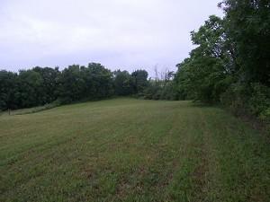 Property Main Photo