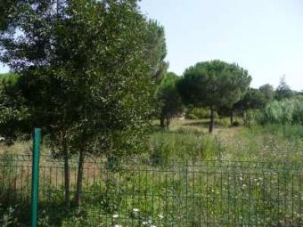 Property Main Photo