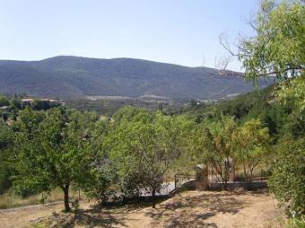 Property Main Photo