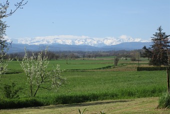 Property Main Photo