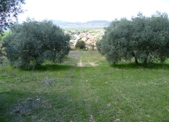 Property Main Photo