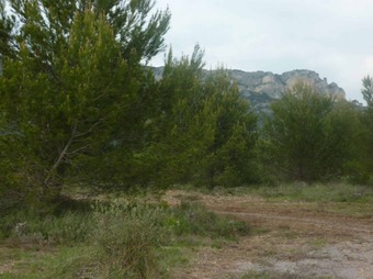 Property Main Photo