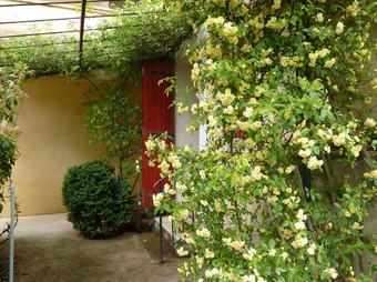 Property Main Photo
