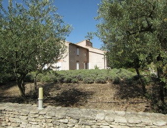 Property Main Photo