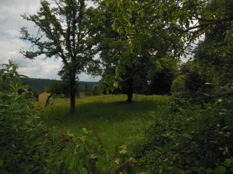 Property Main Photo