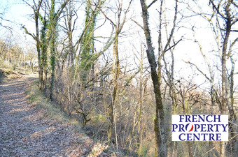 Property Main Photo