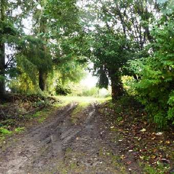 Property Main Photo
