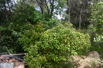 Property Main Photo