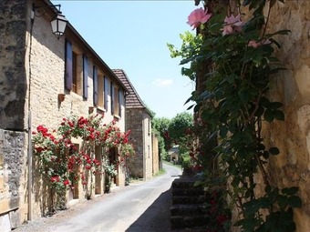 Property Main Photo