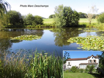 Property Main Photo