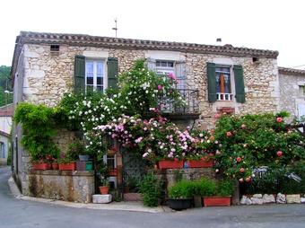 Property Main Photo