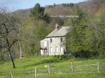Property Main Photo
