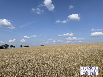 Property Main Photo
