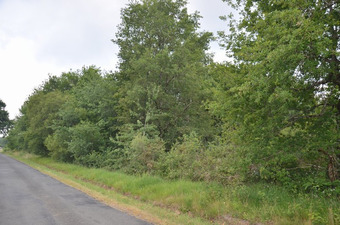 Property Main Photo