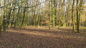 Property Main Photo