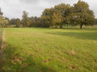 Property Main Photo