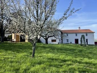 Property Main Photo