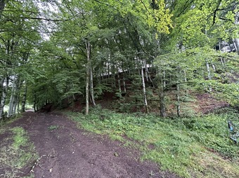 Property Main Photo