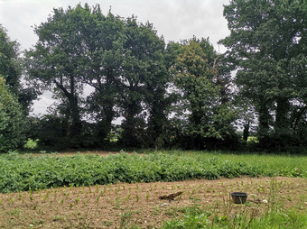 Property Main Photo