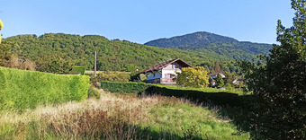 Property Main Photo