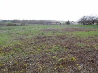 Property Main Photo