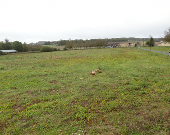 Property Main Photo