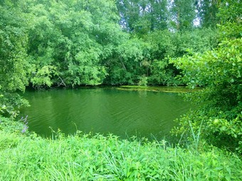 Property Main Photo