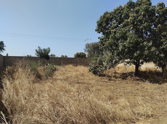 Property Main Photo