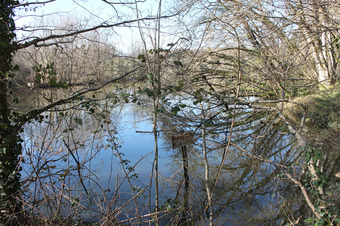 Property Main Photo
