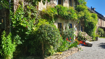 Property Main Photo