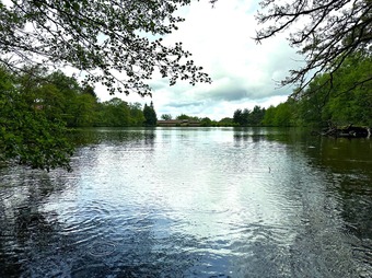 Property Main Photo