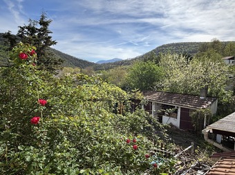 Property Main Photo