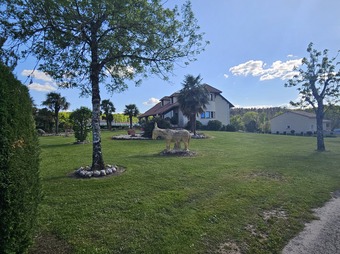 Property Main Photo